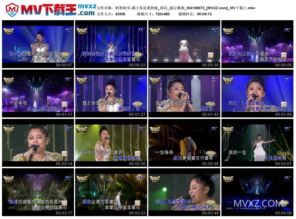 阿鲁阿卓-遇上你是我的缘_国语_流行歌曲_MA106673